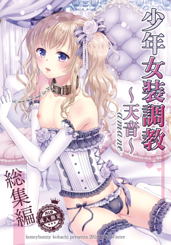 Shounen Josou Choukyou ~Amane~ Soushuuhen cover