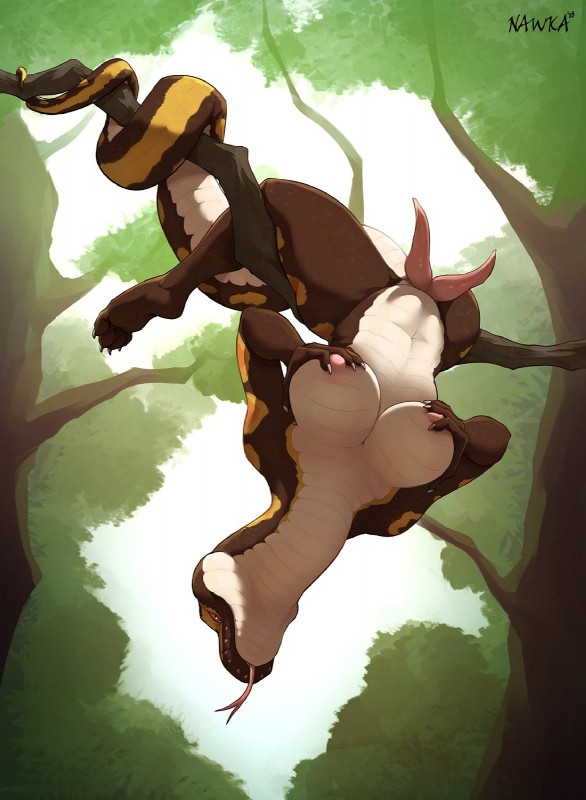 ARTIST nawka page 9 full