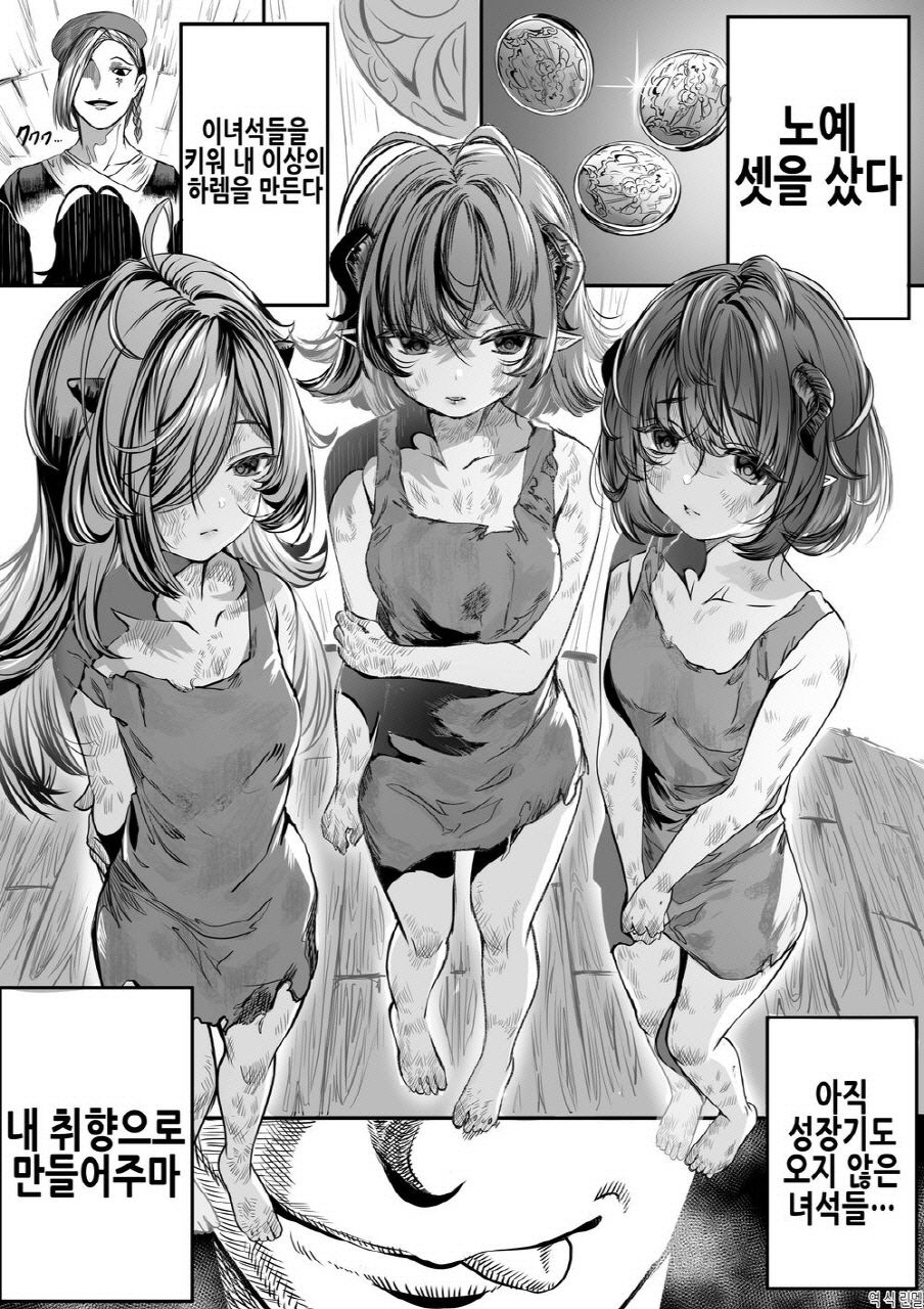 Dorei o Choukyou shite Harem Tsukuru ~Sodateta Dorei-tachi to Junai Harem H suru made no Hanashi~ | 노예를 조교해 하렘을 만들다 -녀석들과 순애 하렘 H 할 때까지의 이야기- page 4 full