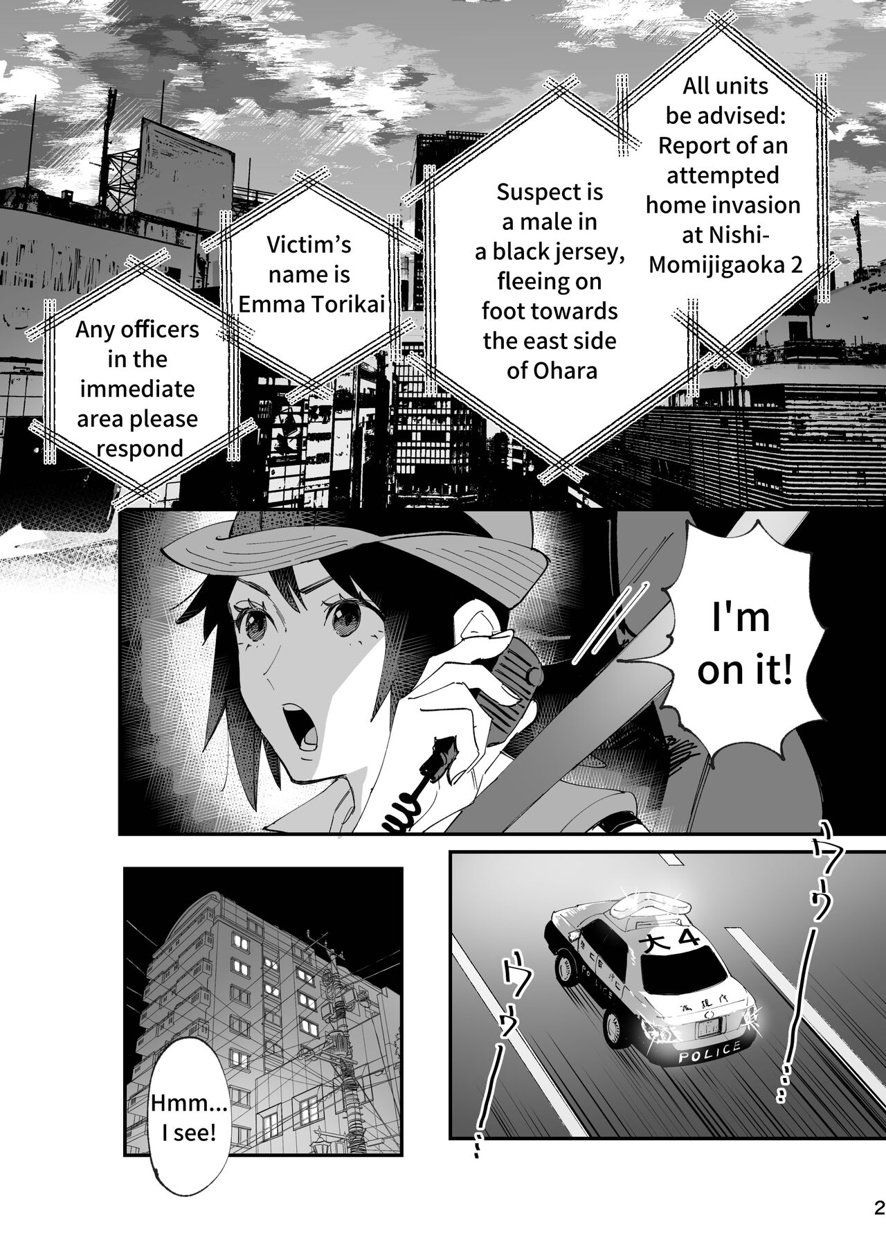 OSG Pi-ko page 2 full