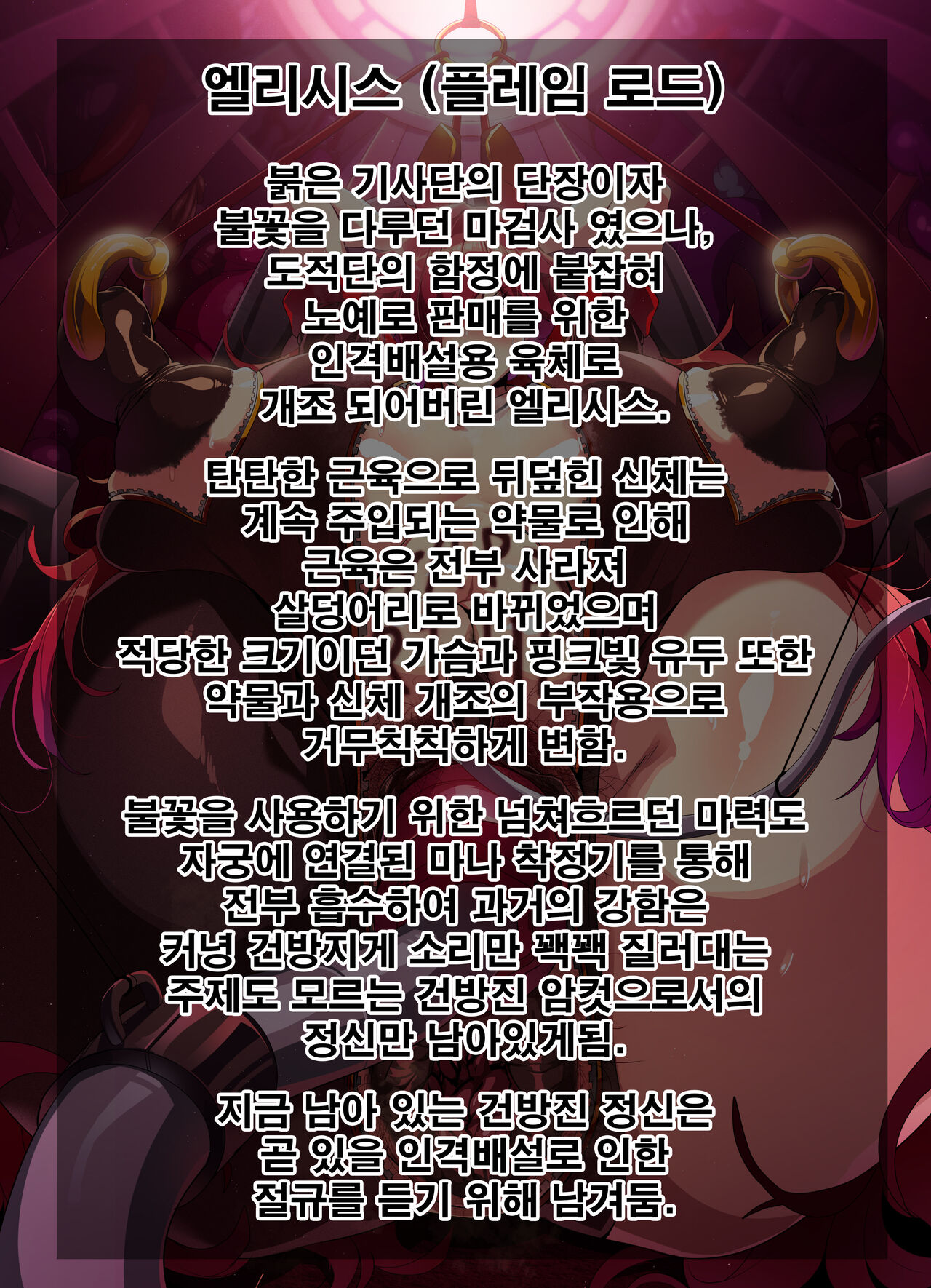 ELSWORD Elesis 1-2-3-4-5-6-7 CG page 5 full