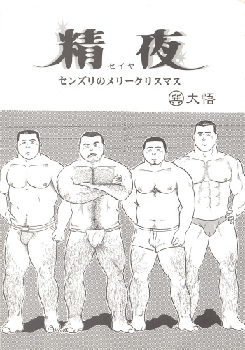 Seiya cover