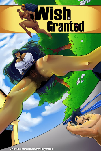 Wish Granted cover