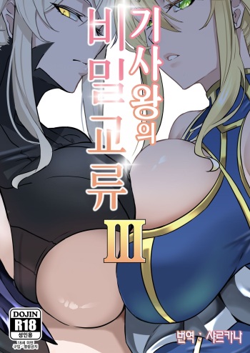 The Secret Communication of the King of Knights Ⅲ | 기사왕의 비밀교류 3 cover