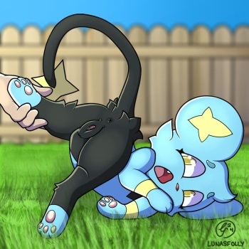 shinx cover