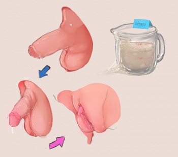 Anatomically Correct TG/TSF Genital Transformations cover