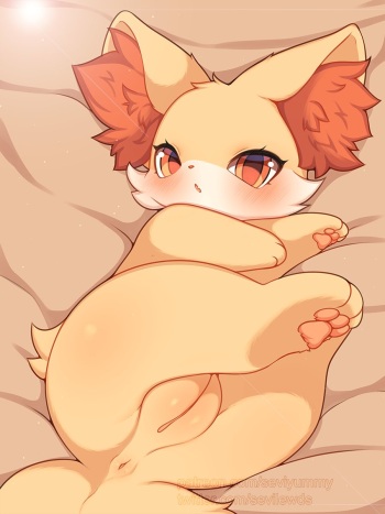 fennekin cover