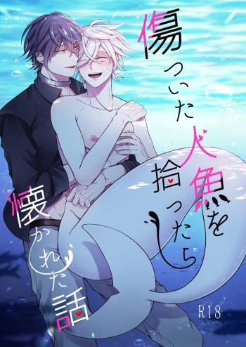 Falling for a Wounded Mermaid cover