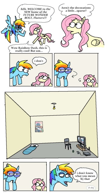 Rainbow Dash x Fluttershy cover