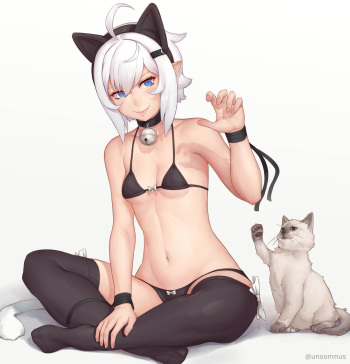 Artist - Unsomnus cover