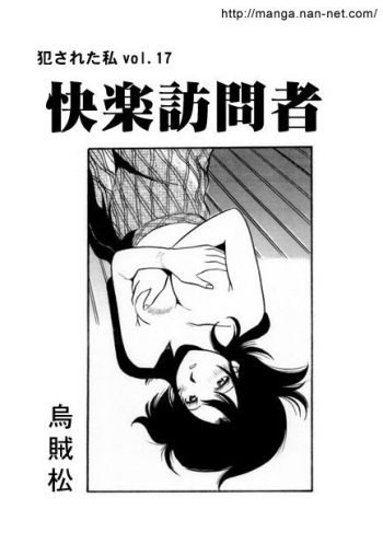 Pleasure Visitor cover
