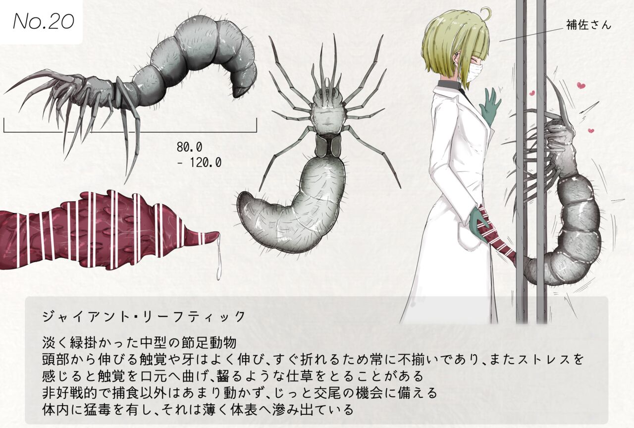 Insect research report No.20 page 1 full