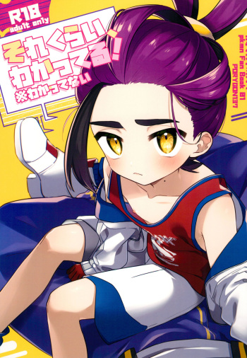 Sore Kurai, Wakatteru! ※ Wakattenai cover