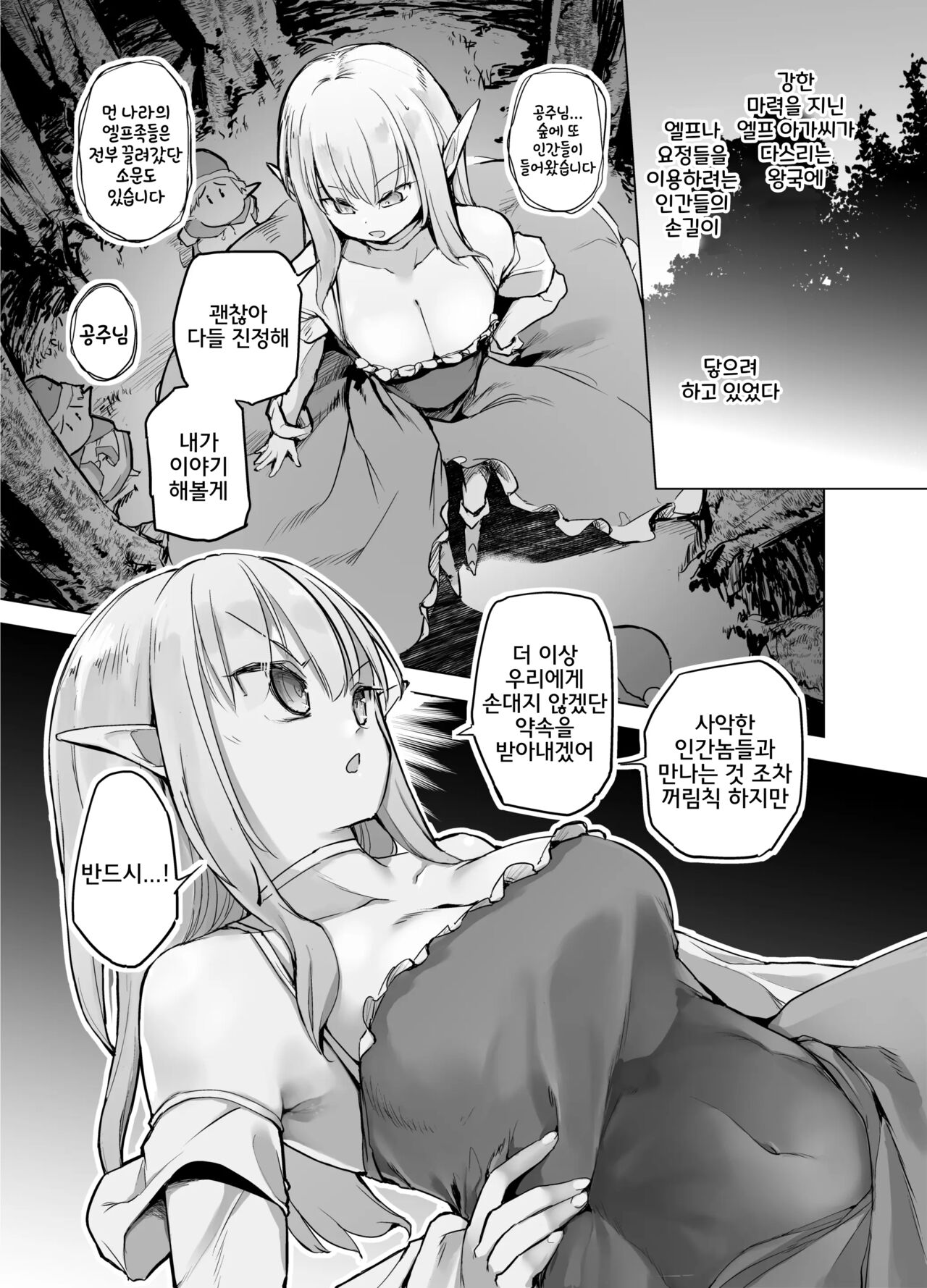 Elf no Hime no Hokori ni Kakete Taemasu! | 엘프 공주의 긍지를 걸고서 견디겠습니다! page 2 full