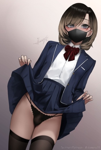 Mask cover