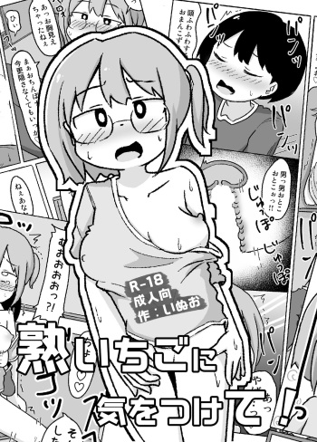 Juku Ichigo ni Kiotsukete! cover