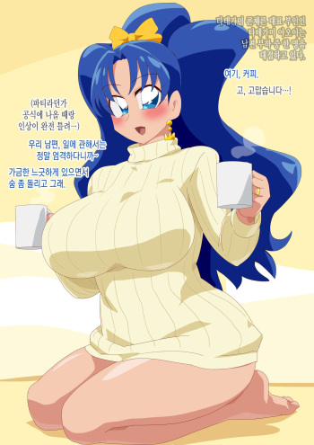 Precure1 cover