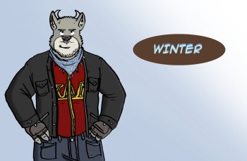 winter cover
