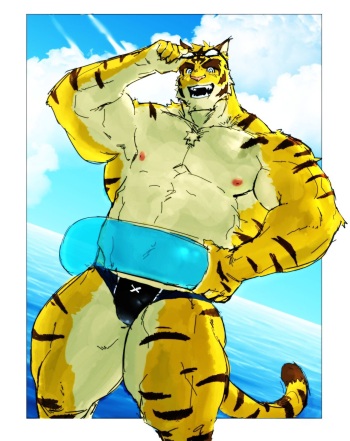 Toratora Morenatsu Art Collection cover
