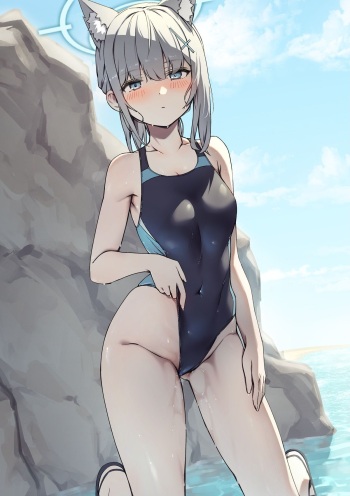 nameco cover