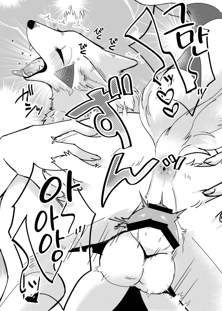 メスガキ謎犬をわからせたい page 10 full