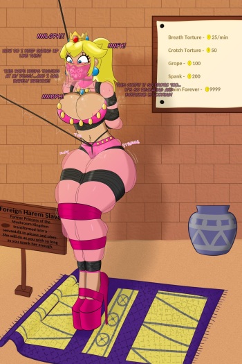 Harem Girl Princess Peach cover