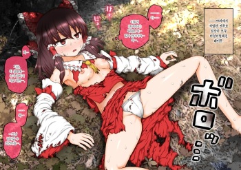 Tatakai no Ato no Hirou de Ugokenai tokoro wo Norainu ni Osowarechau Reimu-san cover