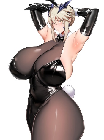 Artoria Lancer Alter cover