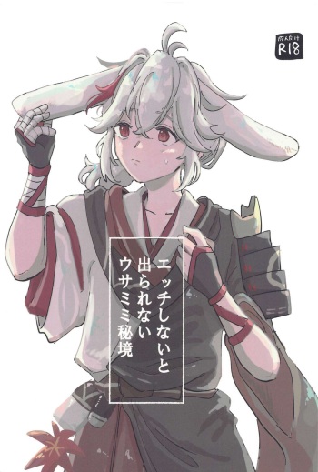 etchishinaitoderarenaiusamimihikyo cover
