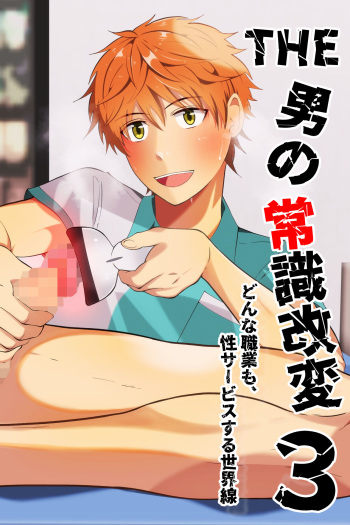 THE otoko no joushiki kaihen 3 donna shokugyo mo,sei service suru sekai sen cover