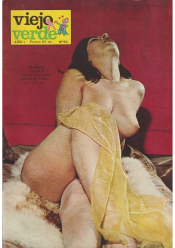 Viejo Verde #22 cover