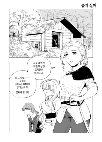 Shuugeki Shippai | 습격 실패 cover