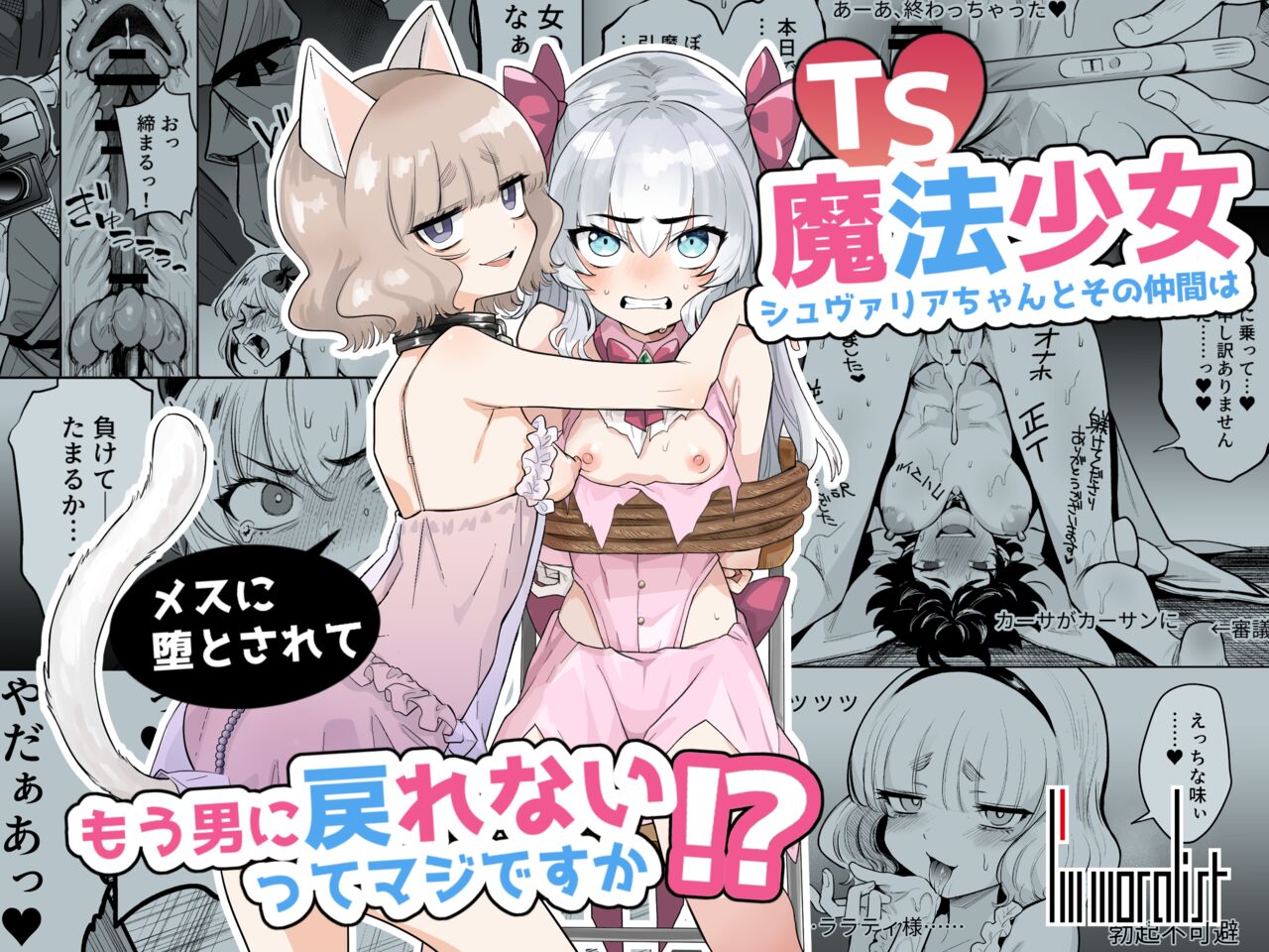 TS Mahou Shoujo Chevalier-chan to Sono Nakama wa Mesu ni Otosarete Mou Otoko ni Modorenai tte Maji desu ka!? page 1 full