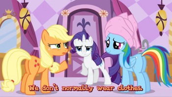 We Don't Normally Wear Clothes cover