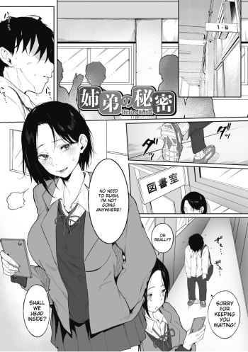 Shitei no Himitsu cover