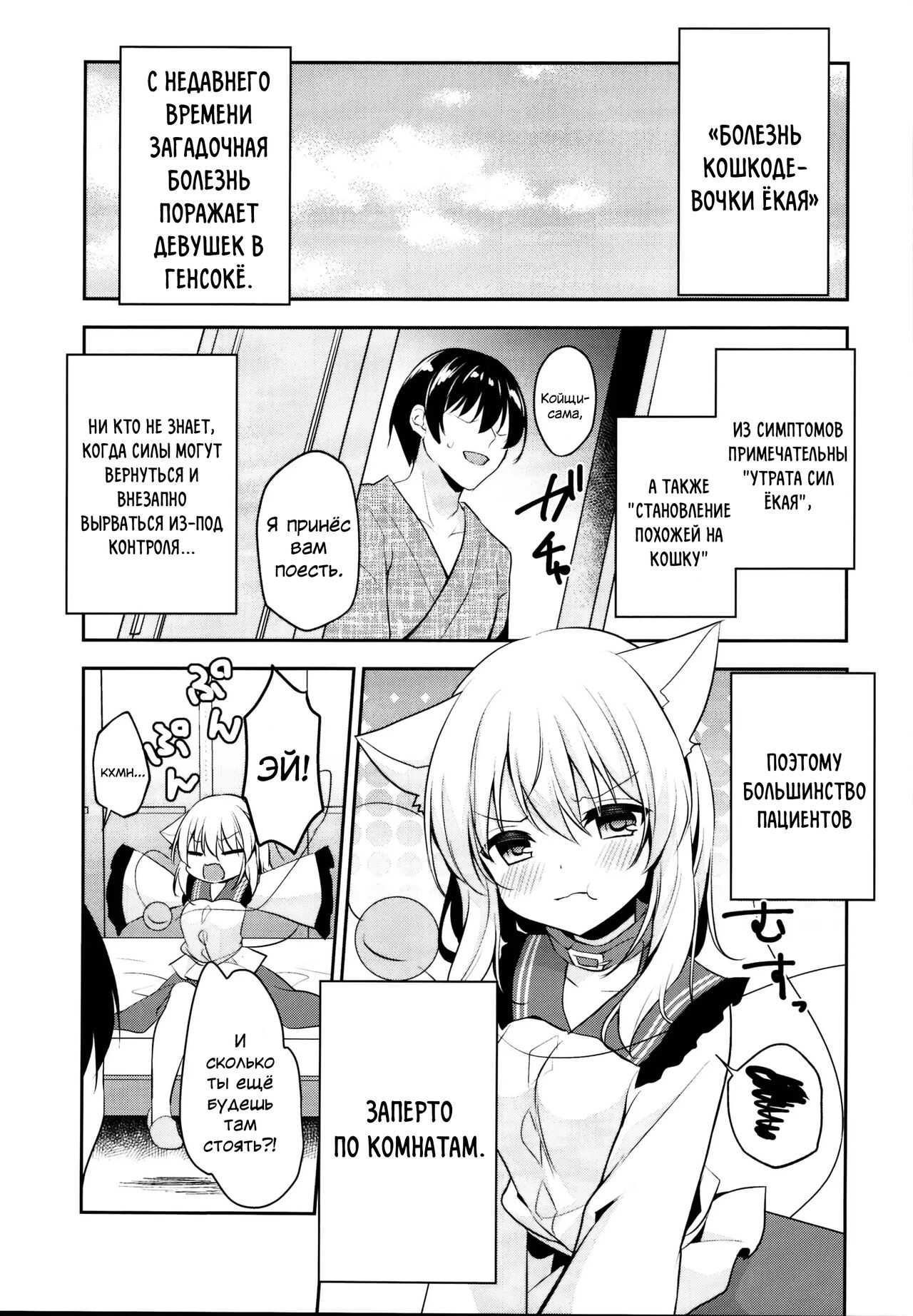 Hatsujouki no Nyan Koishi page 3 full