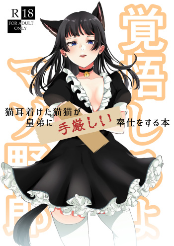Nekomimi chaku keta neko neko ga nou otoni tekibishii houshi wo suru hon cover