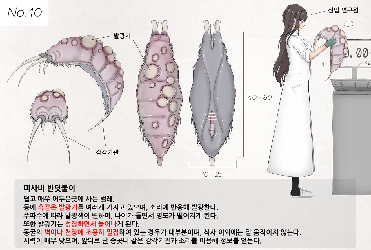 Mushi Research Report No.10 page 1 full