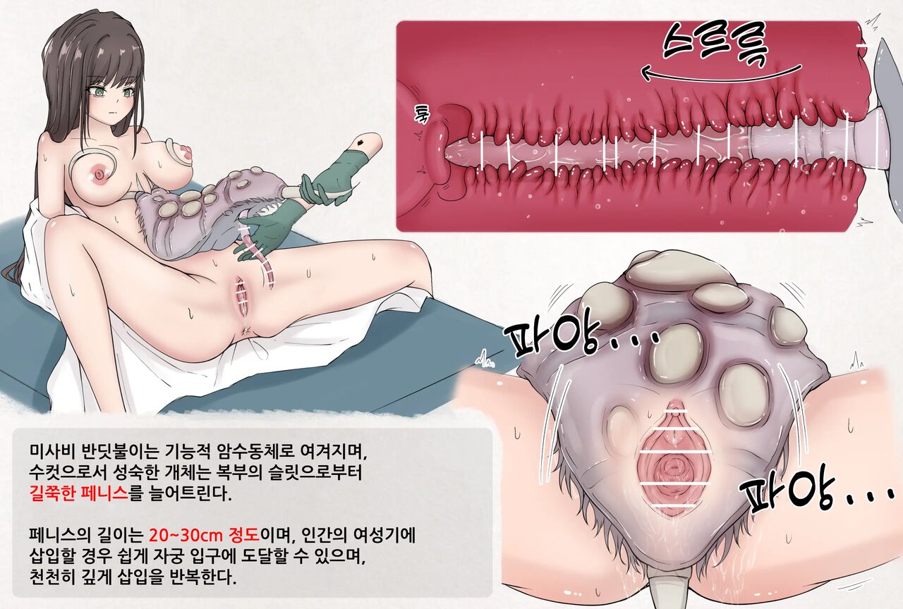 Mushi Research Report No.10 page 2 full