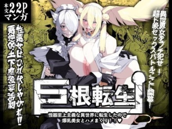 Kyokon Tensei -Seiki Shijou Shugi na Isekai ni Tensei shita no de Bakunyuu Bijo to Hame Makuri- cover
