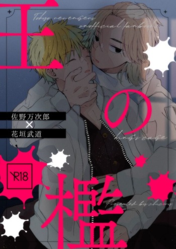King's Cage cover