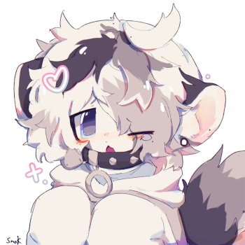 artist:ssnorkkles cover