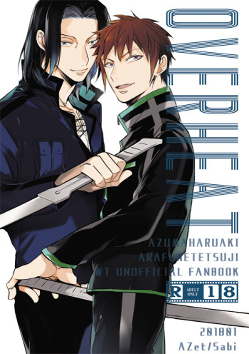 OVERHEAT cover