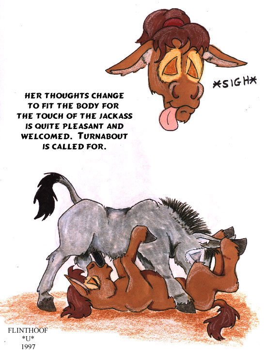 Donkey Tales page 8 full