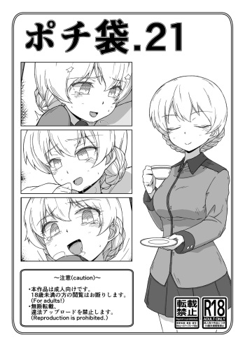 ポチ袋21 ダージリン cover
