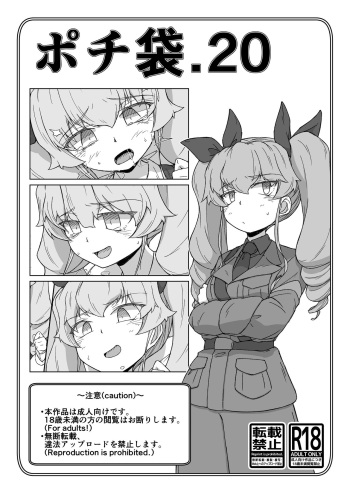 Pochibukuro. 20 cover
