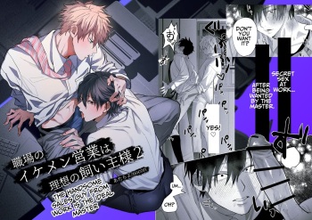 The Handsome Salesman At Work Is An Ideal Master 2 cover