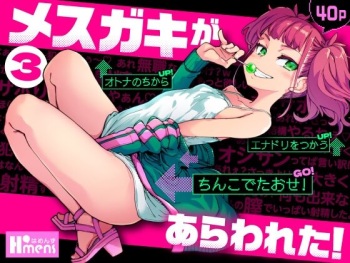 Mesugaki ga Arawareta! 3 cover