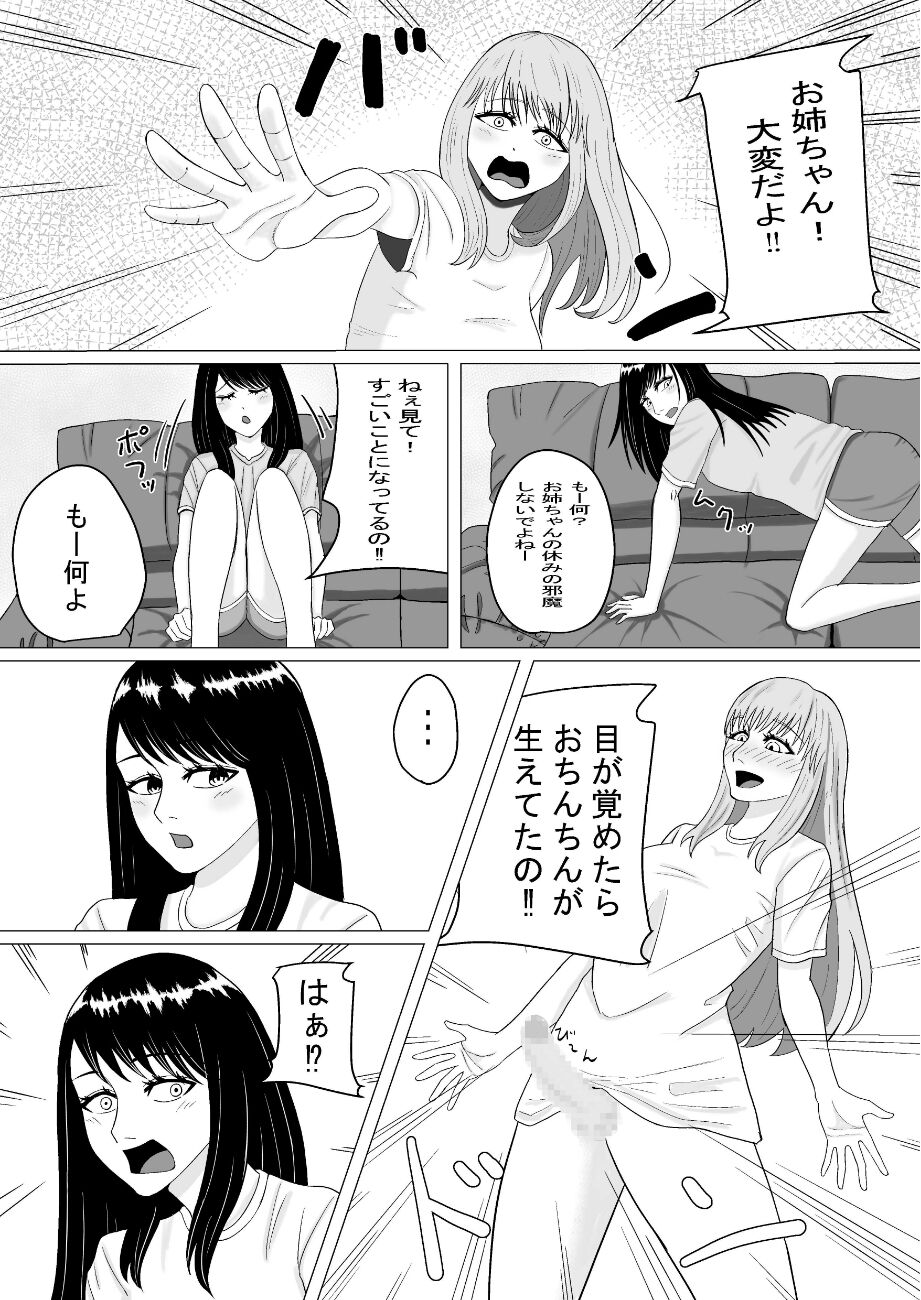 おちんちんの生えた妹と始まる話 page 2 full