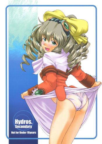 Hydros.secondary cover